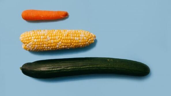 Diverse dimensioni di un membro maschile sull'esempio delle verdure